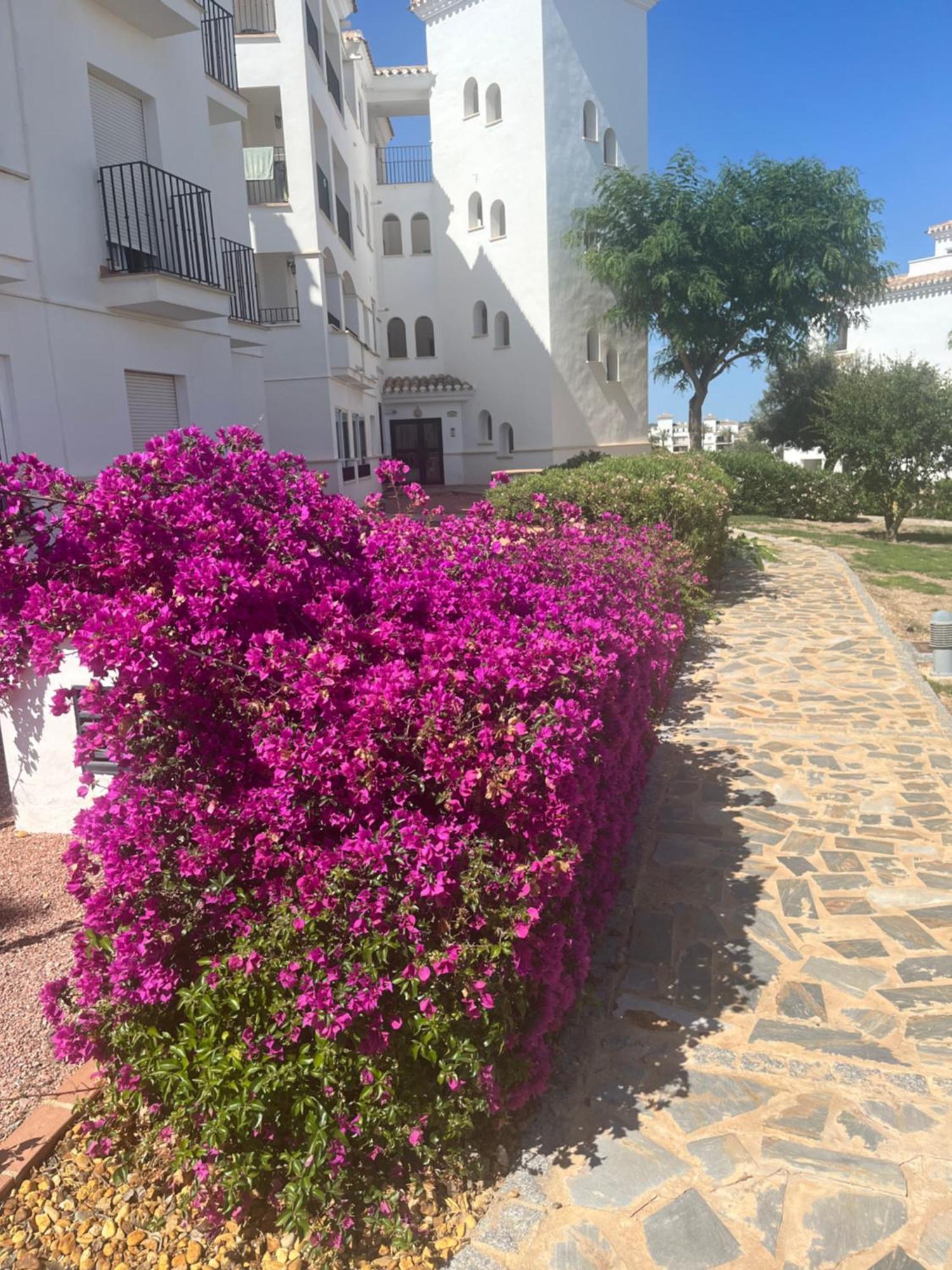 La Casa Rosita, Hacienda Riquelme Golf Resort Sucina Murcia Esterno foto